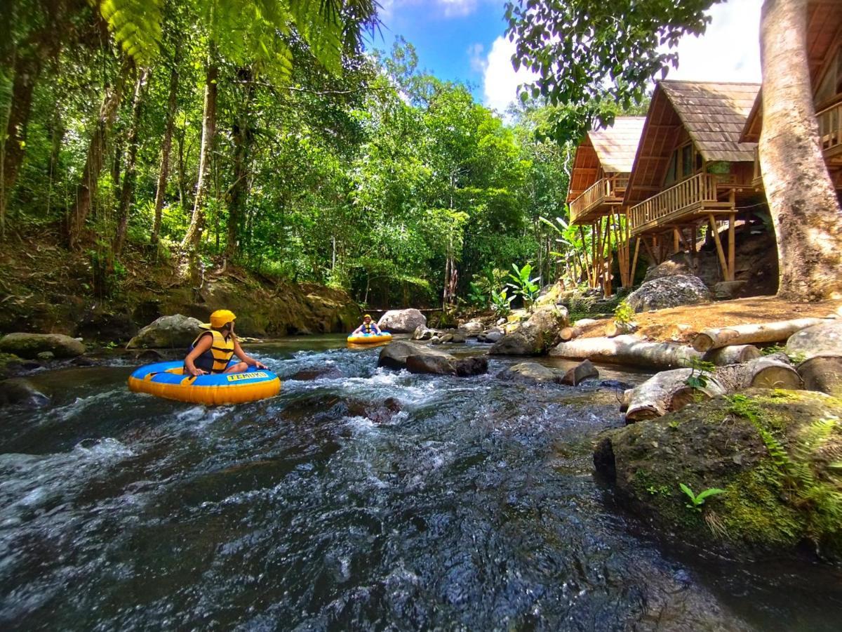 Aksha Riverside Ubud Tampaksiring Екстериор снимка