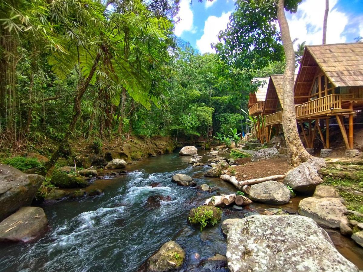 Aksha Riverside Ubud Tampaksiring Екстериор снимка